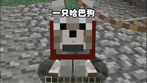 我的世界怎么让狗喝水[图2]