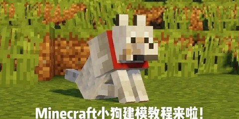 我的世界狗能干什么[图1]