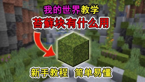 我的世界苔石有什么用[图1]