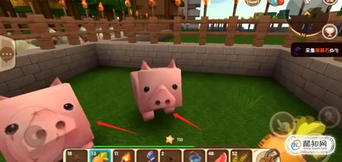 迷你世界猪吃什么繁殖