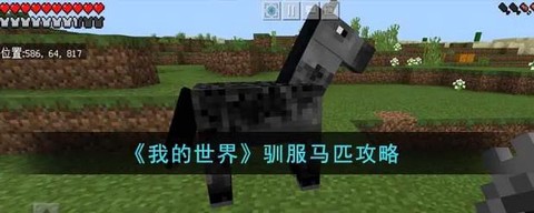 我的世界如何驯服马[图1]
