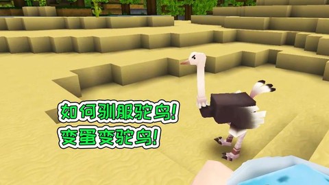 迷你世界如何驯服鸵鸟[图2]