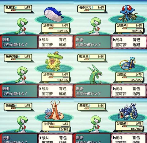 口袋妖怪怎么汉化补丁[图2]